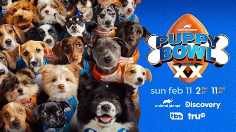 Puppy Bowl 2024 Death Png